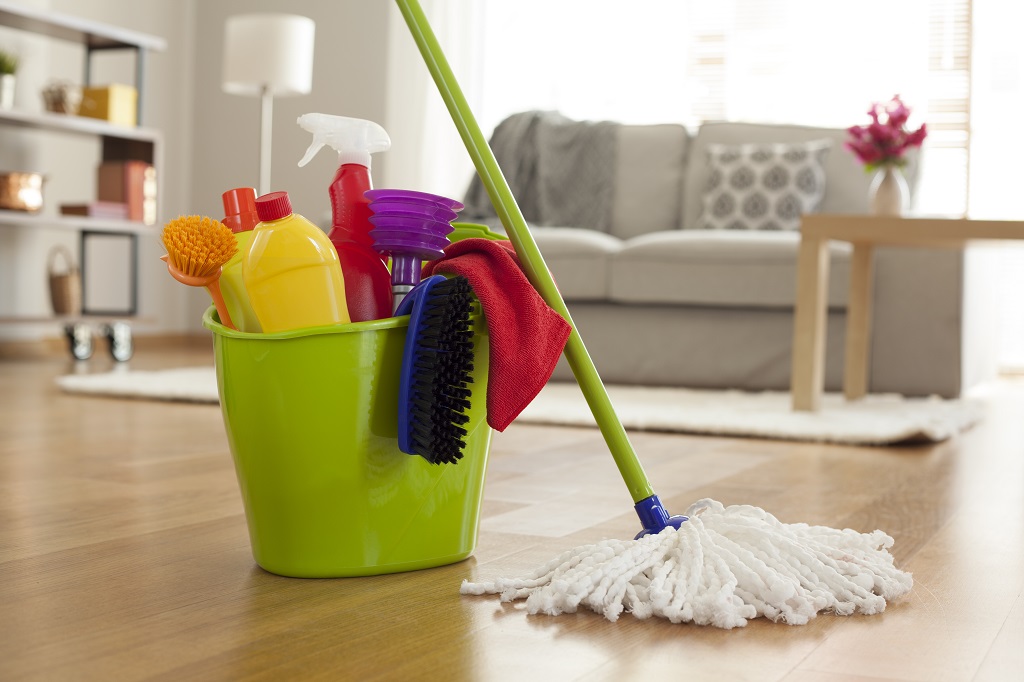 Bucket of professional cleaning supplies and a mop in a tidy living room